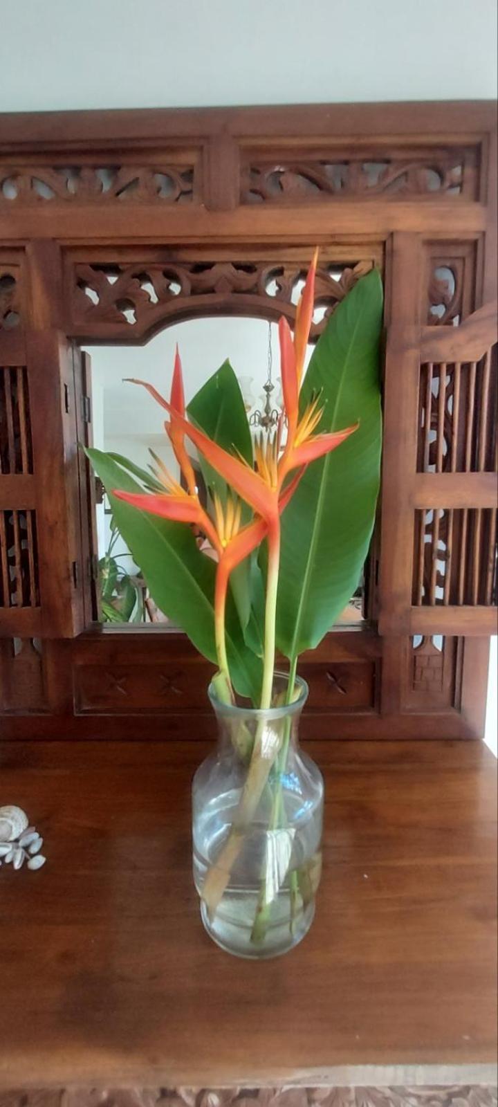 Residence71Nadi Fiji Kültér fotó