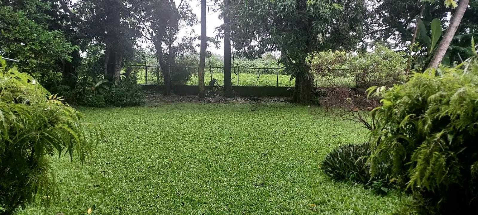 Residence71Nadi Fiji Kültér fotó